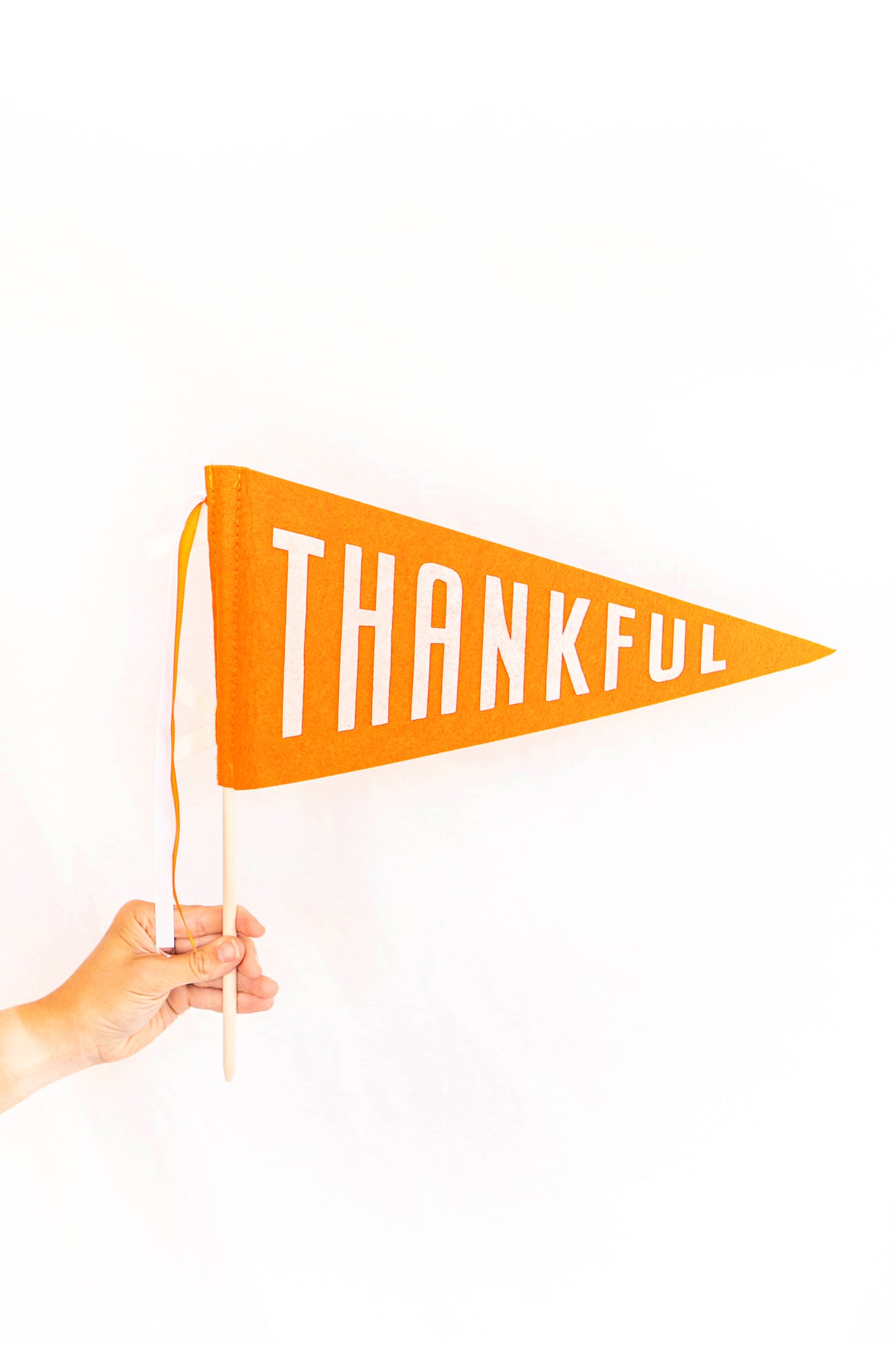 Thankful Felt Pennant